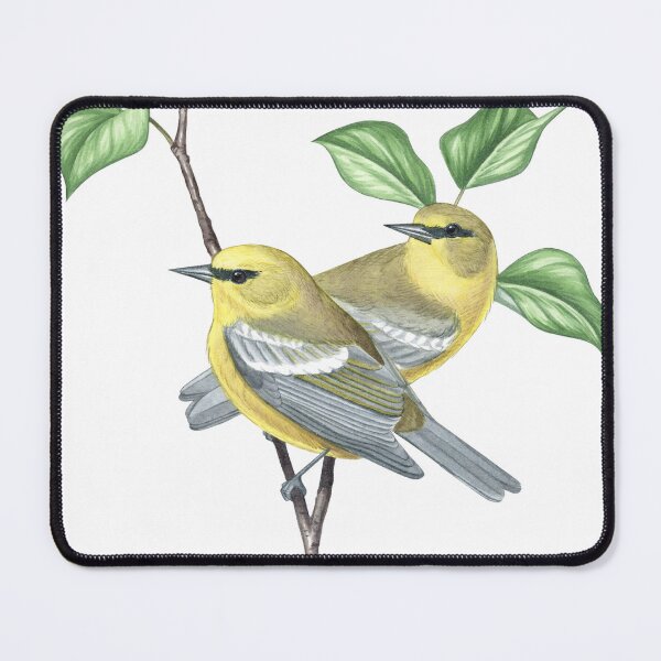 Item preview, Blue-winged Warbler (Vermivora cyanoptera) designed and sold by JadaFitch.