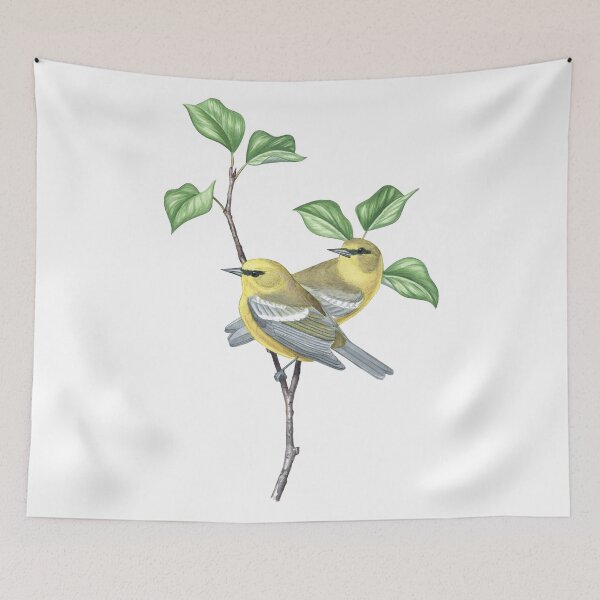 Item preview, Blue-winged Warbler (Vermivora cyanoptera) designed and sold by JadaFitch.