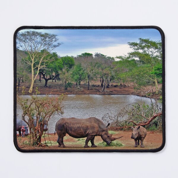 Item preview, African White Rhinoceros Rhino South Africa designed and sold by AndyEvansPhotos.