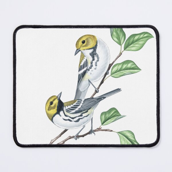 Item preview, Black-throated Green Warbler (Setophaga virens) designed and sold by JadaFitch.