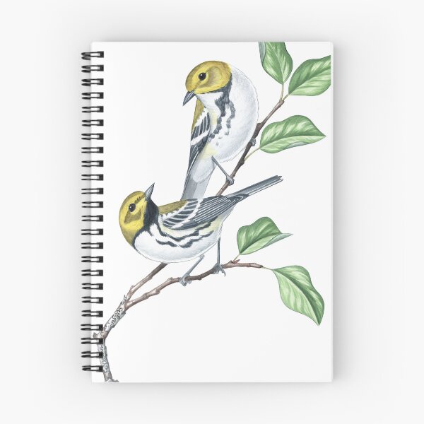 Item preview, Black-throated Green Warbler (Setophaga virens) designed and sold by JadaFitch.