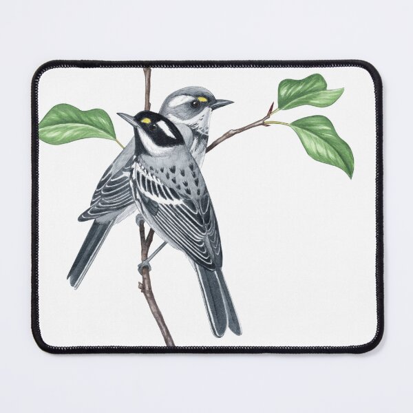 Item preview, Black-throated Gray Warbler (Setophaga nigrescens) designed and sold by JadaFitch.