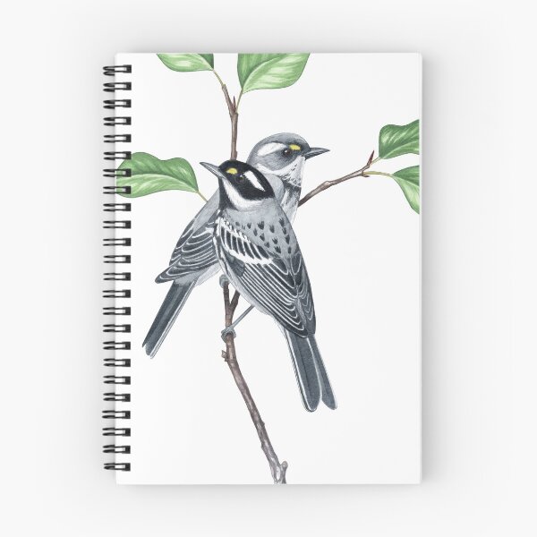 Item preview, Black-throated Gray Warbler (Setophaga nigrescens) designed and sold by JadaFitch.
