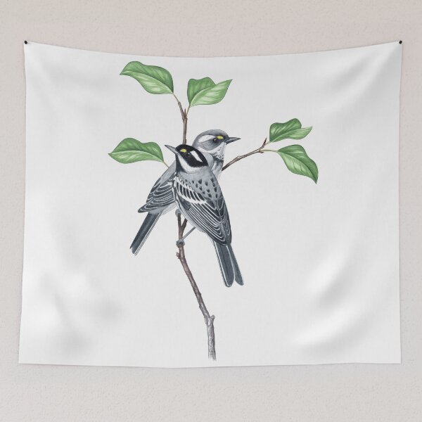 Item preview, Black-throated Gray Warbler (Setophaga nigrescens) designed and sold by JadaFitch.