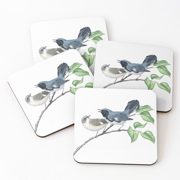 Item preview, Black-throated blue Warbler (Setophaga caerulescens) designed and sold by JadaFitch.