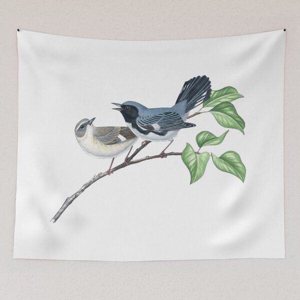 Item preview, Black-throated blue Warbler (Setophaga caerulescens) designed and sold by JadaFitch.
