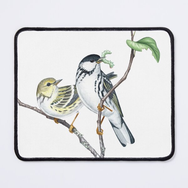 Item preview, Blackpoll Warbler (Setophaga striata) designed and sold by JadaFitch.