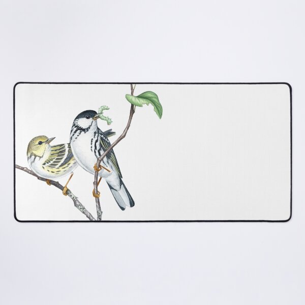 Item preview, Blackpoll Warbler (Setophaga striata) designed and sold by JadaFitch.
