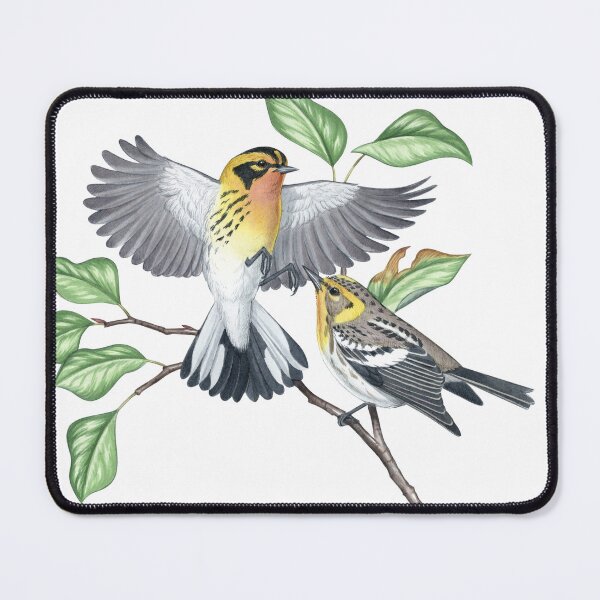 Item preview, Blackburnian Warbler (Setophaga fusca) designed and sold by JadaFitch.
