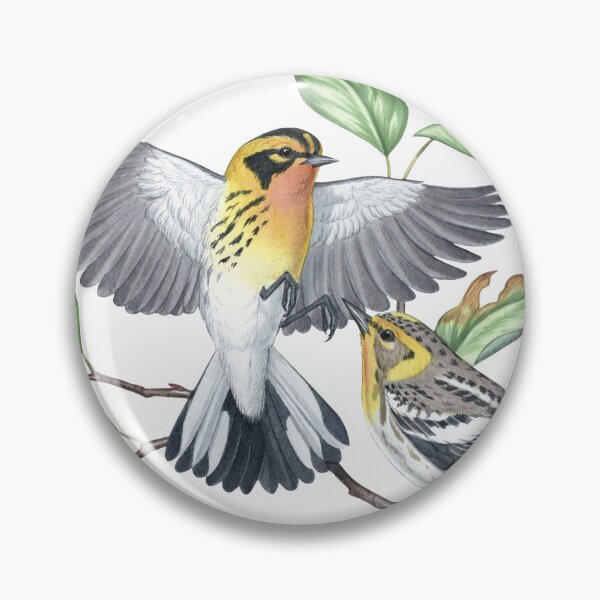 Item preview, Blackburnian Warbler (Setophaga fusca) designed and sold by JadaFitch.