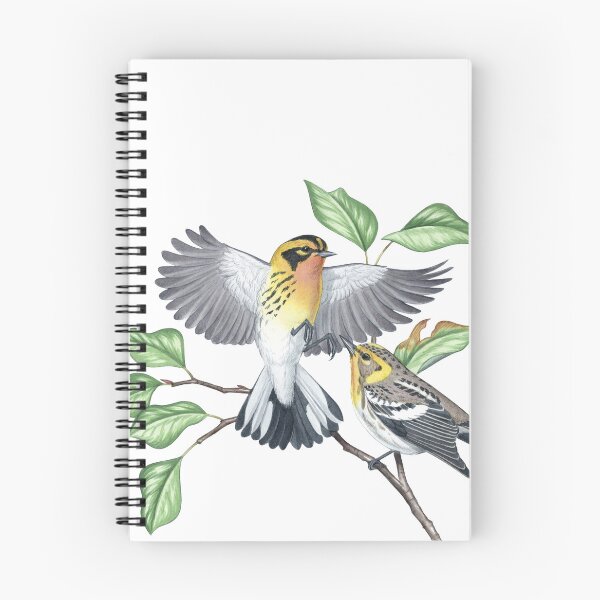 Item preview, Blackburnian Warbler (Setophaga fusca) designed and sold by JadaFitch.