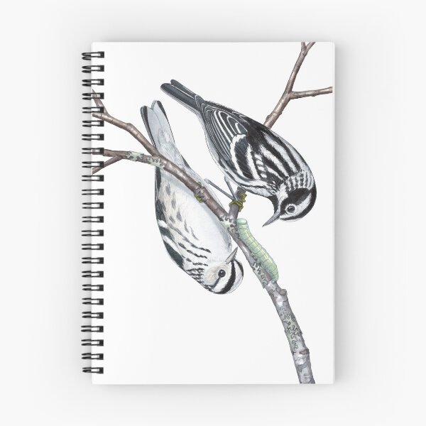 Item preview, Black-and-white Warbler (Mniotilta varia) designed and sold by JadaFitch.