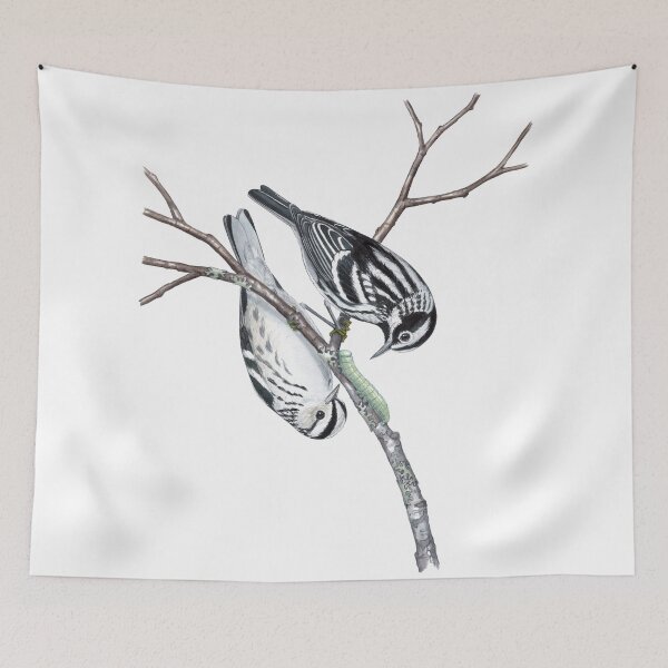 Item preview, Black-and-white Warbler (Mniotilta varia) designed and sold by JadaFitch.