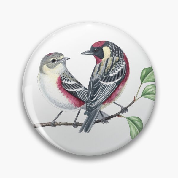 Item preview, Bay-breasted Warbler designed and sold by JadaFitch.