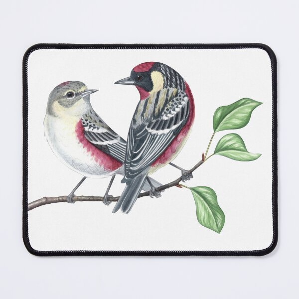 Item preview, Bay-breasted Warbler designed and sold by JadaFitch.