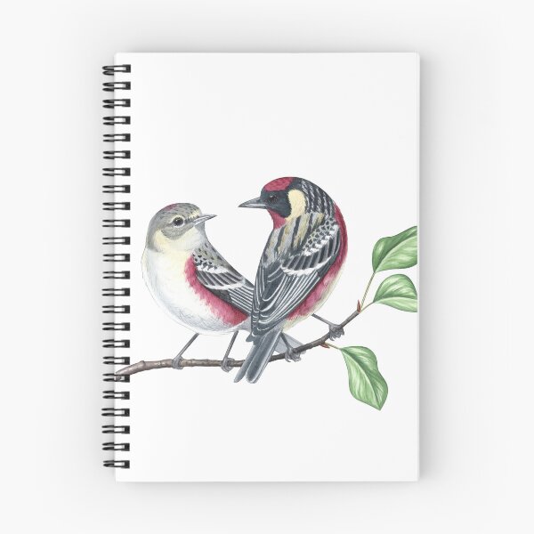 Item preview, Bay-breasted Warbler designed and sold by JadaFitch.