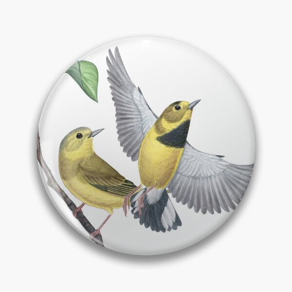Item preview, Bachman's Warbler (Vermivora bachmanii) designed and sold by JadaFitch.