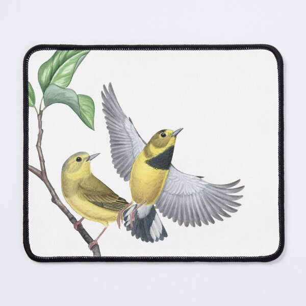 Item preview, Bachman's Warbler (Vermivora bachmanii) designed and sold by JadaFitch.