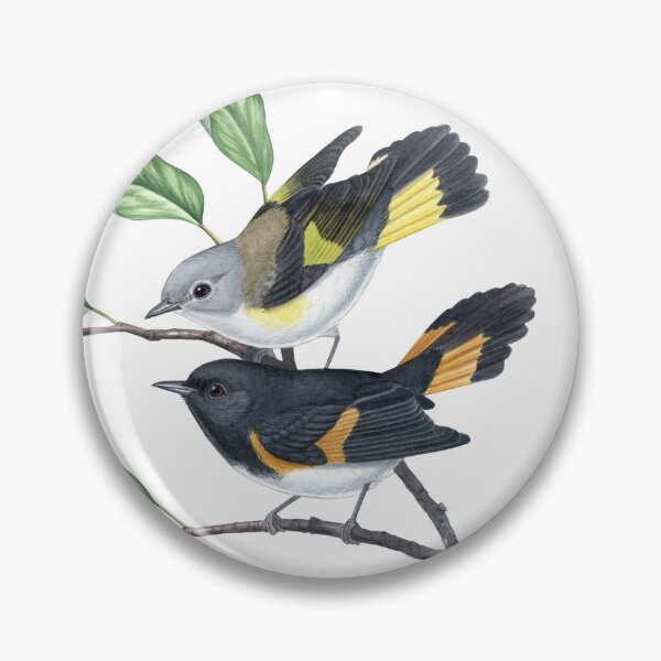 Item preview, American Redstart (Setophaga ruticilla) designed and sold by JadaFitch.