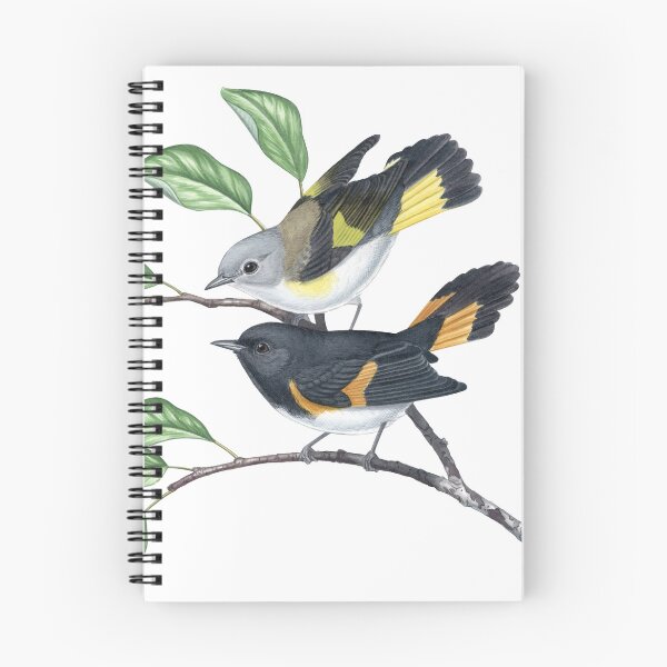 Item preview, American Redstart (Setophaga ruticilla) designed and sold by JadaFitch.