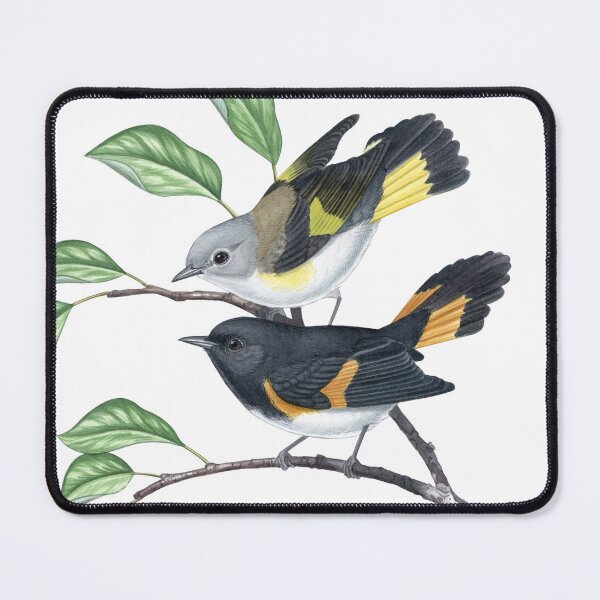 Item preview, American Redstart (Setophaga ruticilla) designed and sold by JadaFitch.