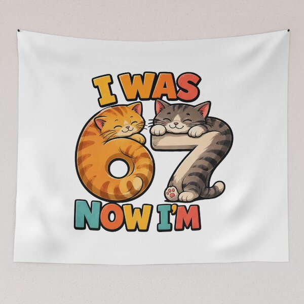 Item preview, age 7 funny meme i was 6 now 7 kids design 6 7 six seven cat mama designed and sold by ArtDesignTp.
