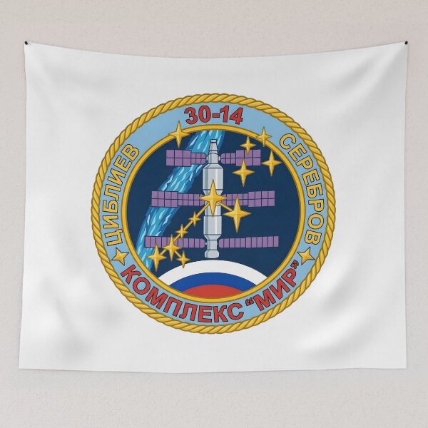 Item preview, Soyuz TM-17 Mir EO-14 Space Mission Patch designed and sold by CharlieDesings.