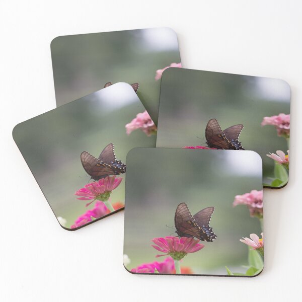Item preview, Butterfly on Pink Zinnia Flower designed and sold by JMBennettPhotos.