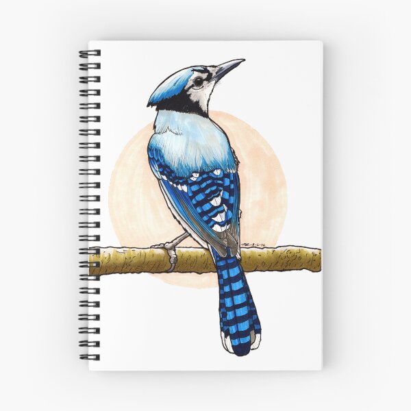 Item preview, Blue Jay - Hand Drawn Gifts for Bird Lovers designed and sold by Drawn-To-Nature.