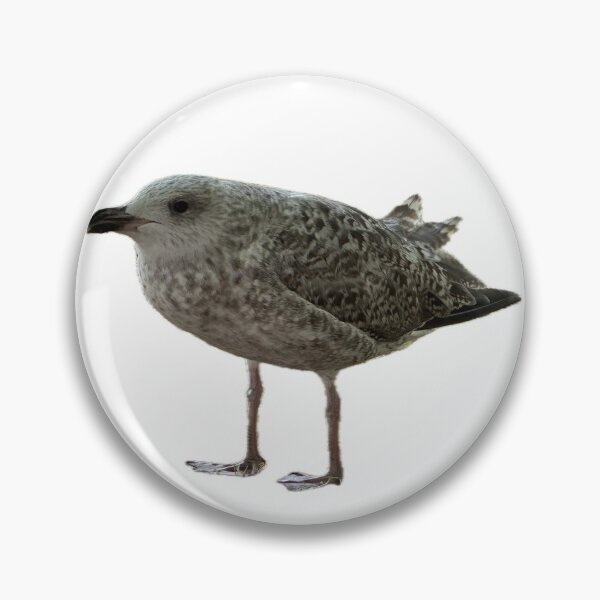Item preview, Juvenile Seagull Coastal Bird Nature Wildlife designed and sold by Tee-Shirt-Topia.