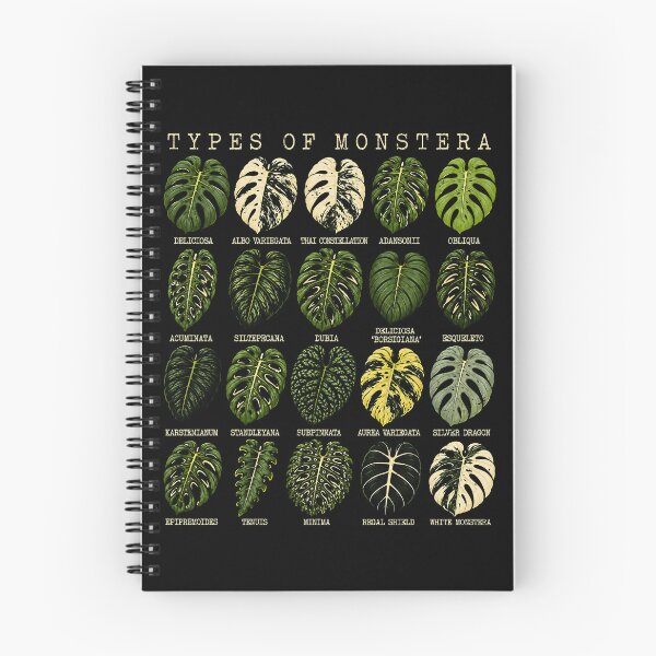 Item preview, Monstera Leaf Collection Art Print designed and sold by rafaeltto.