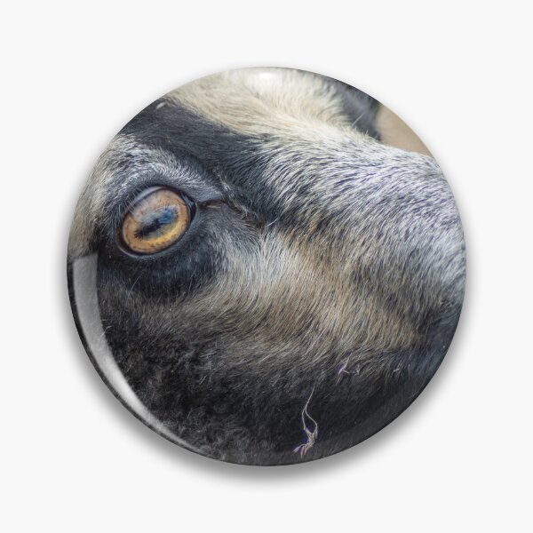 Item preview, Ewe Are Pretty designed and sold by brynmelys.