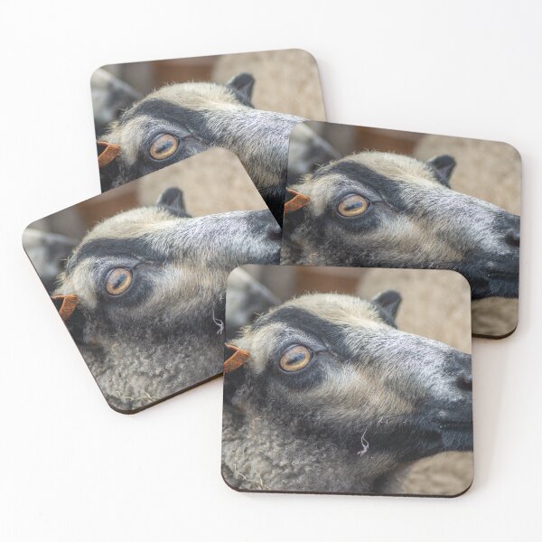Item preview, Ewe Are Pretty designed and sold by brynmelys.