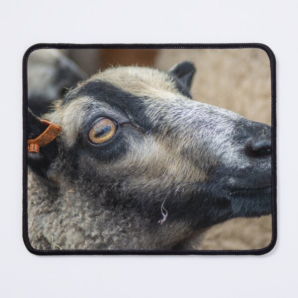 Item preview, Ewe Are Pretty designed and sold by brynmelys.