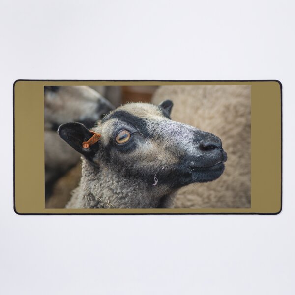 Item preview, Ewe Are Pretty designed and sold by brynmelys.