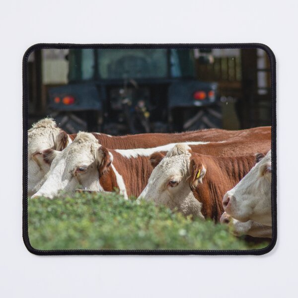 Item preview, Nosey Neighbours designed and sold by brynmelys.