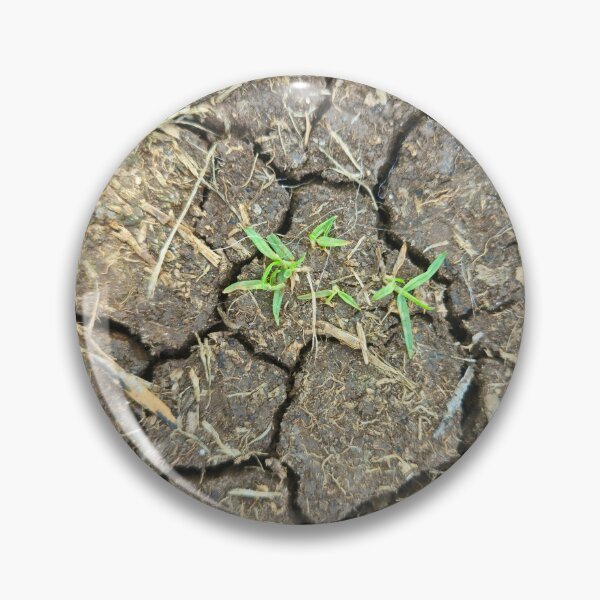 Item preview, Cracked Dry Earth with Tiny Green Sprouts designed and sold by Yanshuf.
