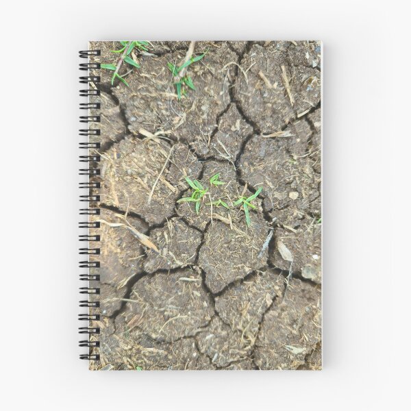 Item preview, Cracked Dry Earth with Tiny Green Sprouts designed and sold by Yanshuf.