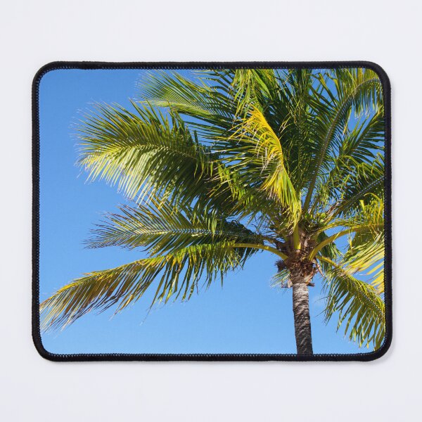 Item preview, Palm Tree Blue Sky Crop designed and sold by JMBennettPhotos.