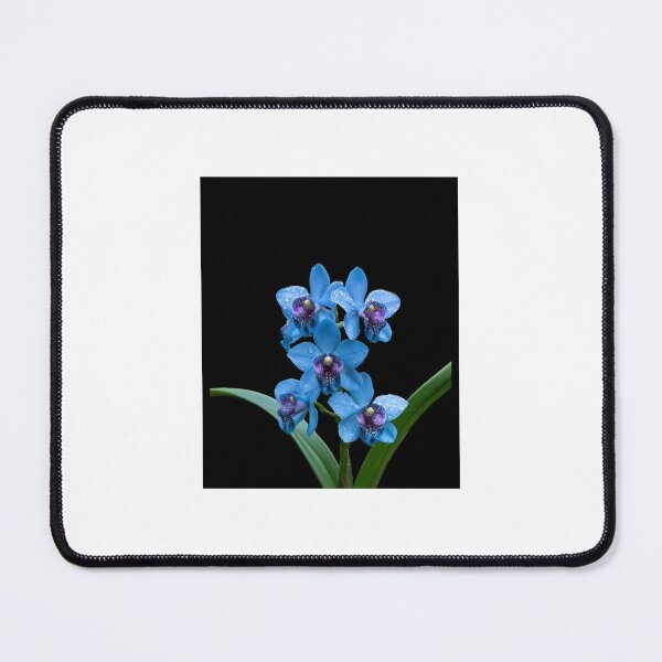 Item preview, Blue Orchid with Dew Drops - Rare Blue Flower Macro Photography designed and sold by Brandady.