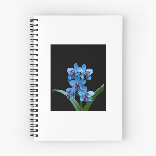 Item preview, Blue Orchid with Dew Drops - Rare Blue Flower Macro Photography designed and sold by Brandady.