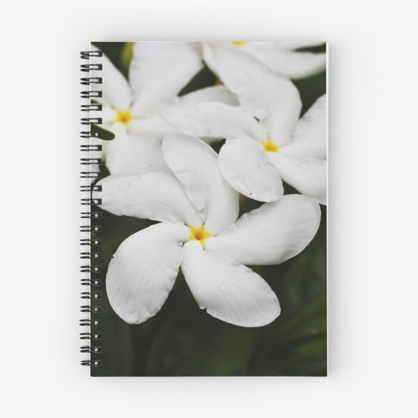Item preview, White Plumeria Frangipani with Rain Droplets designed and sold by JMBennettPhotos.