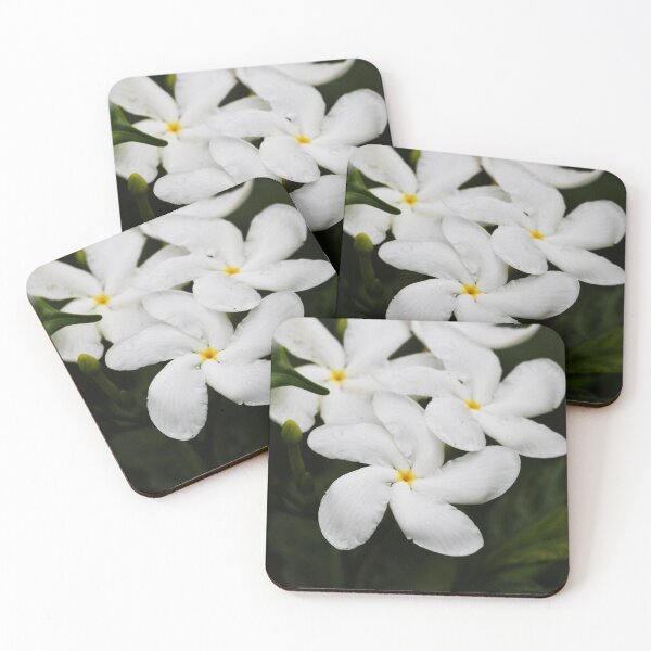 Item preview, White Plumeria Frangipani with Rain Droplets designed and sold by JMBennettPhotos.