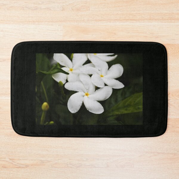 Item preview, White Plumeria Frangipani with Rain Droplets designed and sold by JMBennettPhotos.