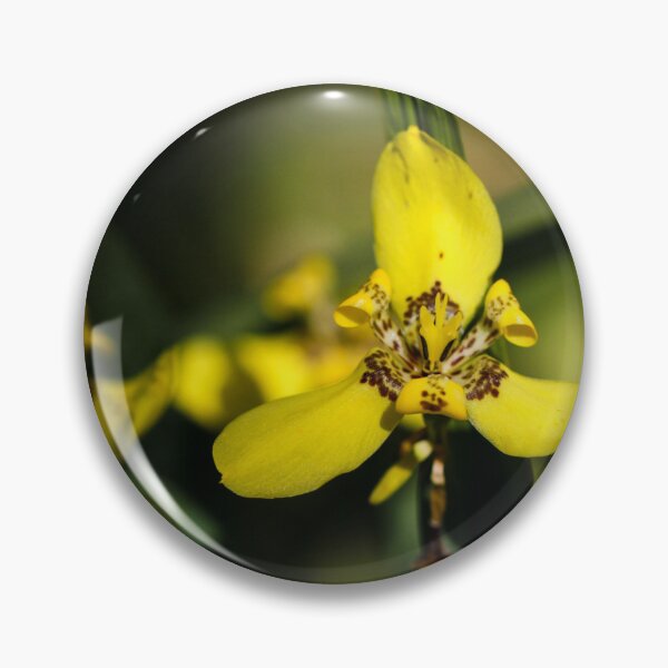 Item preview, Yellow Iris High Contrast designed and sold by JMBennettPhotos.