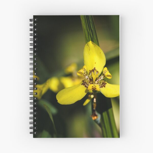 Item preview, Yellow Iris High Contrast designed and sold by JMBennettPhotos.