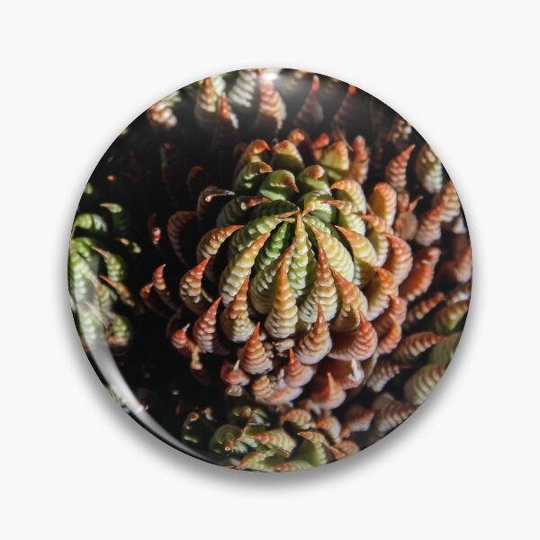 Item preview, Sempervivum Succulents designed and sold by heatherfriedman.
