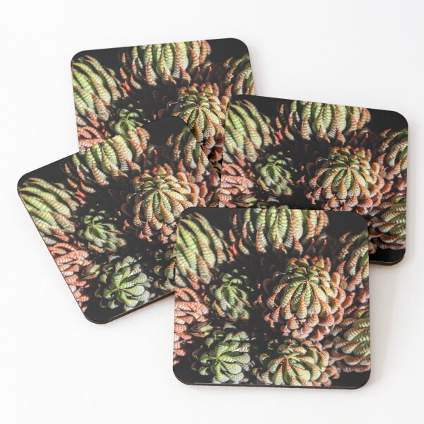 Artikelvorschau, Sempervivum-Sukkulenten entworfen und verkauft von heatherfriedman.