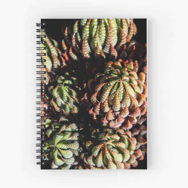 Item preview, Sempervivum Succulents designed and sold by heatherfriedman.