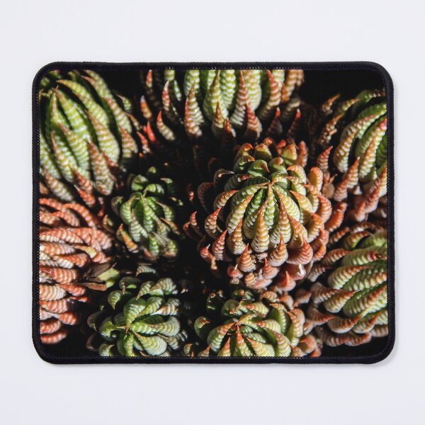 Item preview, Sempervivum Succulents designed and sold by heatherfriedman.